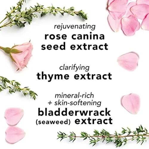 Mario Badescu Rose Water Facial Spray Review image 4