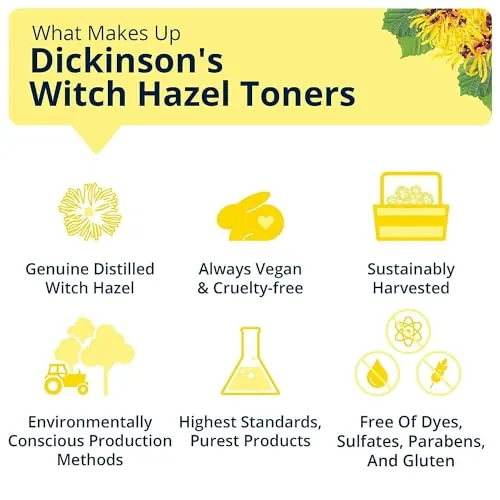 Dickinson's Rosewater Hydrating Toner Review image 6