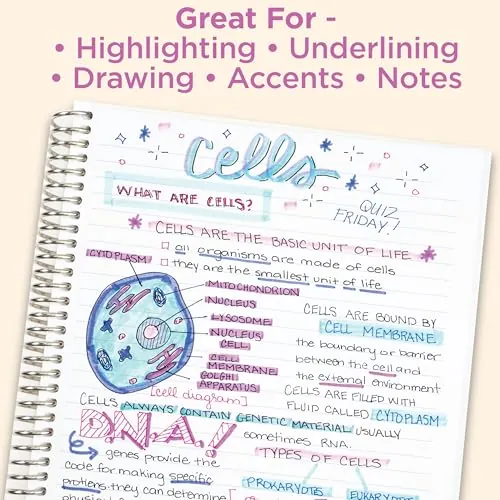 Zebra Pen Mildliner Dual-Tip Highlighter Set Review image 6