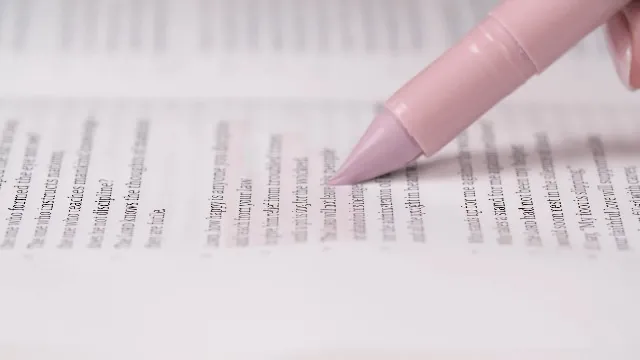 DIVERSEBEE Oasis Bible Highlighters Review image 7